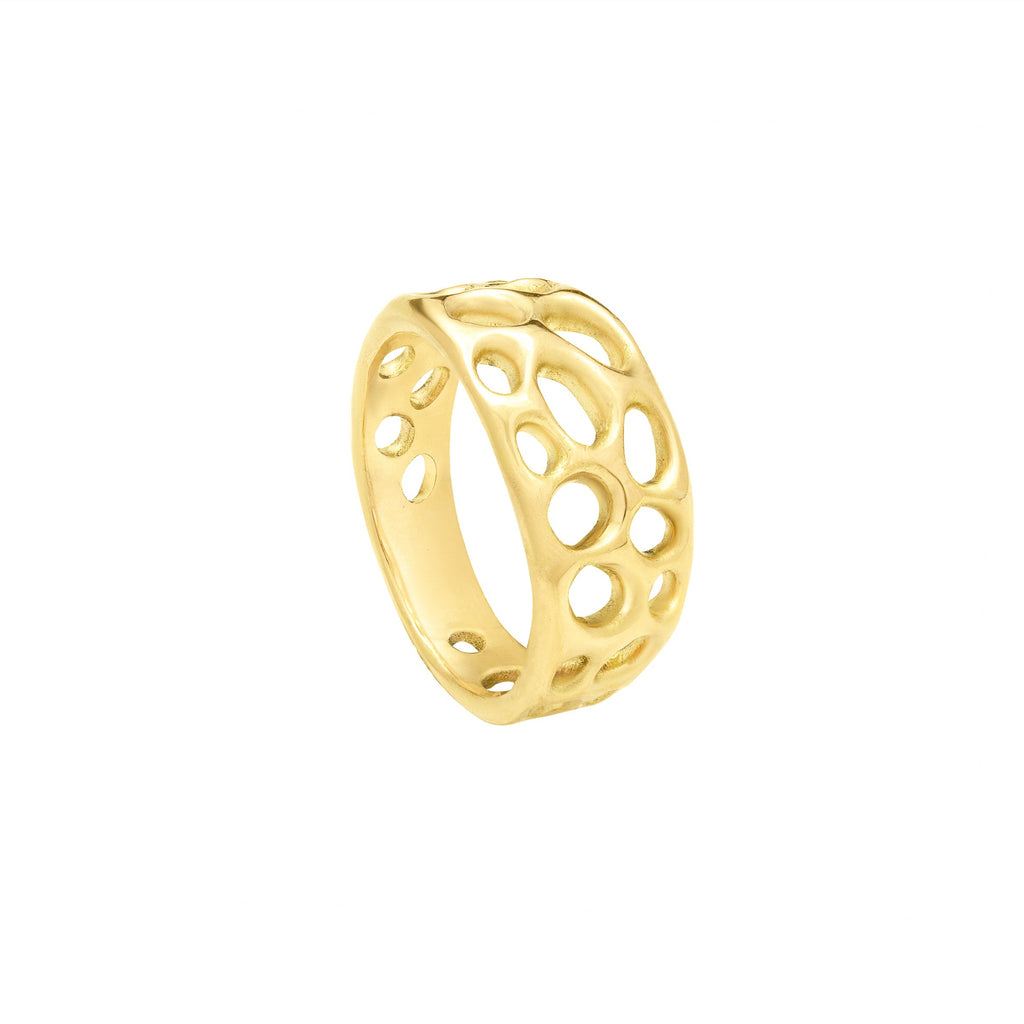 Vesicular Voids Ring