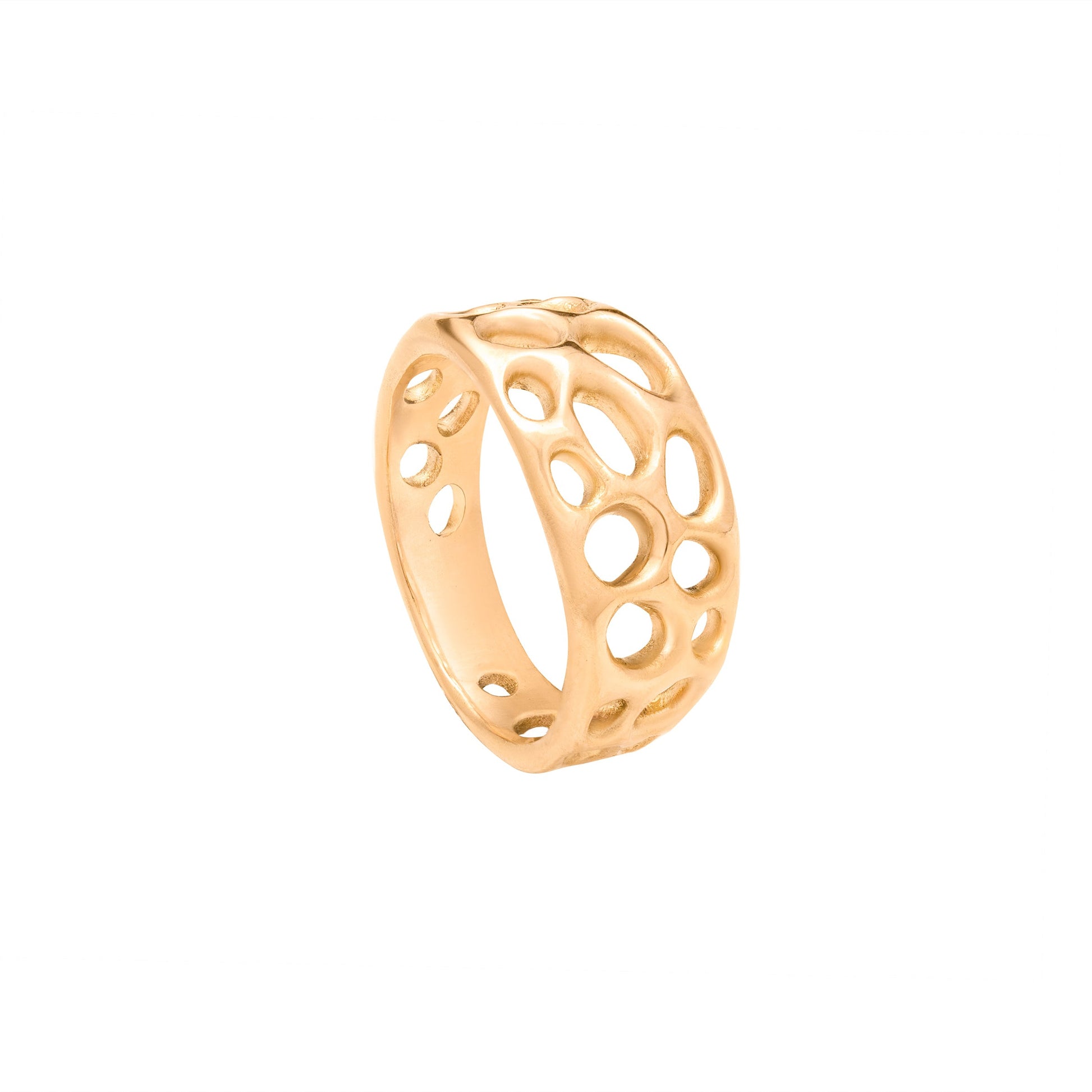 Vesicular Voids Ring