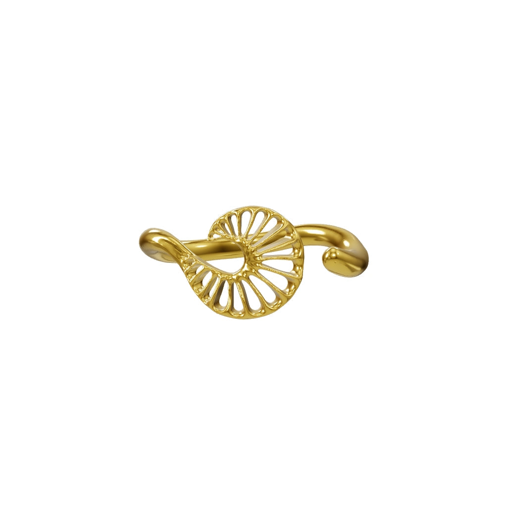 Epeiric Spirals Ring