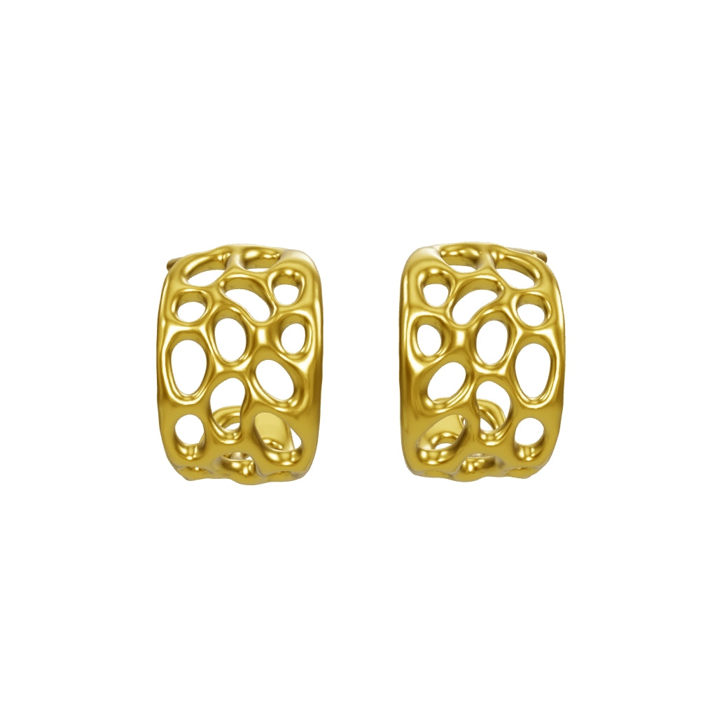 3D model Vesicular voids earrings