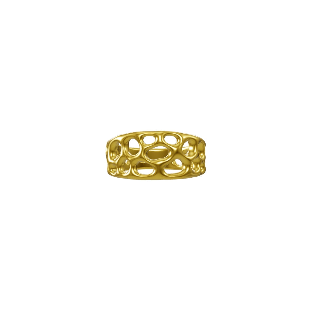 3D model vesicular voids ring